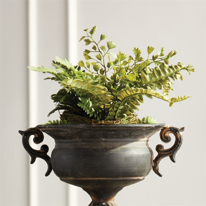 Napa Home Garden, CC 8" MIX FERN RUSTIC DROP IN,di1218