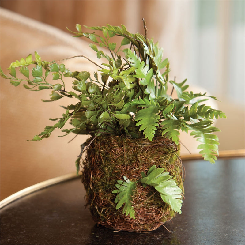 Napa Home Garden, CC 8" MIX FERN RUSTIC DROP IN,di1218