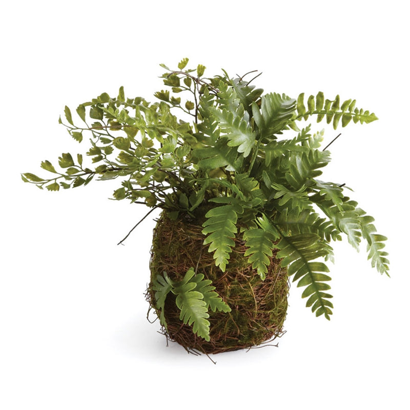 Napa Home Garden, CC 8" MIX FERN RUSTIC DROP IN,di1218