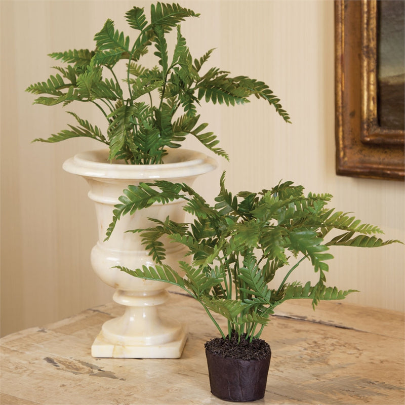 Napa Home Garden, CC 8.5" LADY FERN RUSTIC DROP-IN,di1219