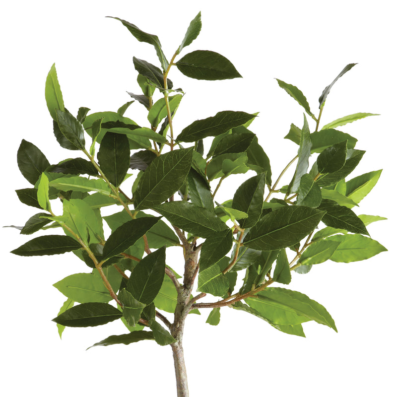 NAPA Home & Garden, BAYLEAF TREE DROP-IN 28.5",DI1220