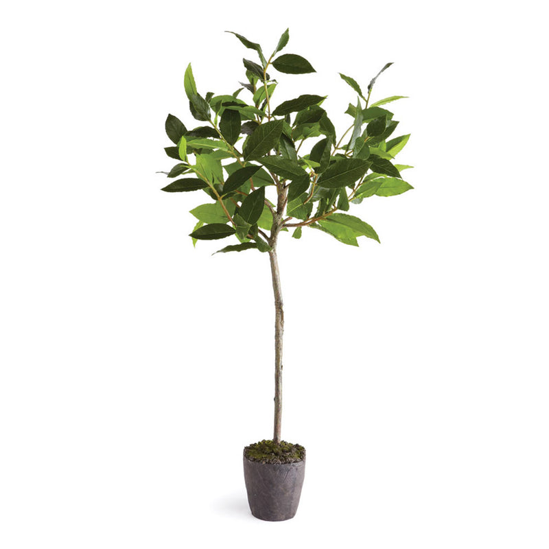 NAPA Home & Garden, BAYLEAF TREE DROP-IN 28.5",DI1220