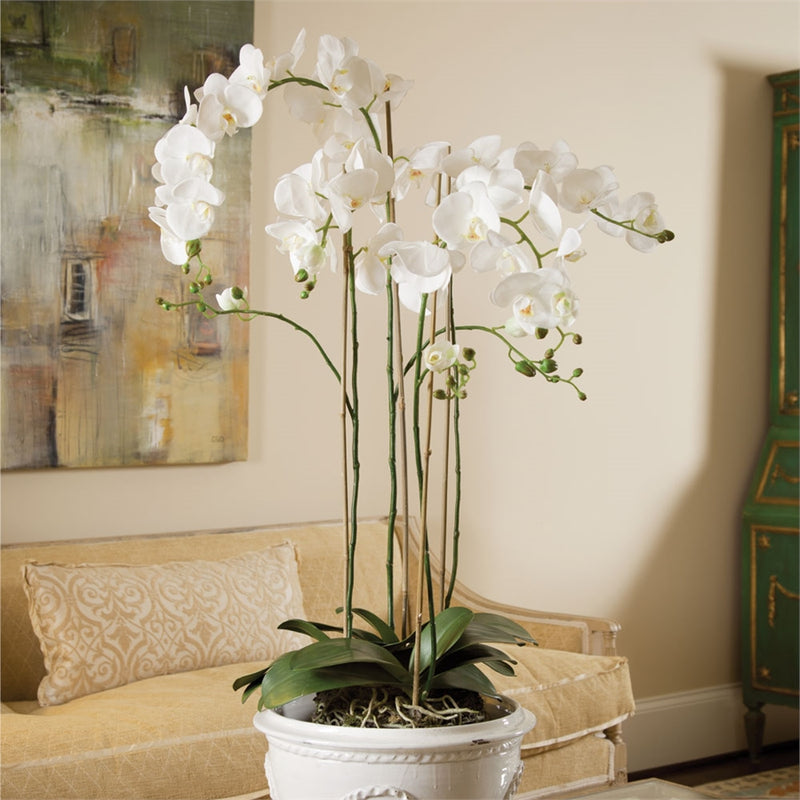 Napa Home Garden, CC 44'' PHALAENOPSIS DROP IN,di1222