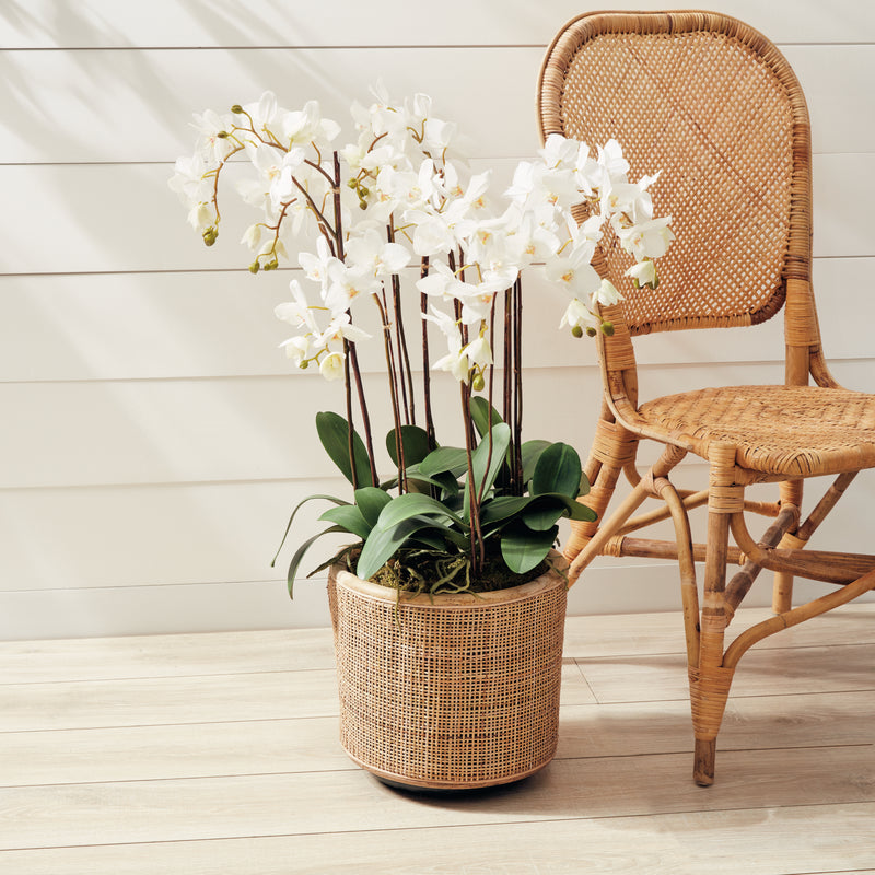 NAPA Home & Garden, PHALAENOPSIS ORCHID DROP-IN 36",DI1230