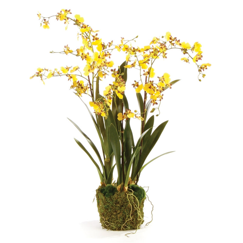 Napa Home Garden, CC 32'' DANCING ORCHID DROP IN,di1239