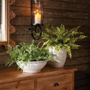 NAPA Home & Garden, Boston Fern Drop-In Collection