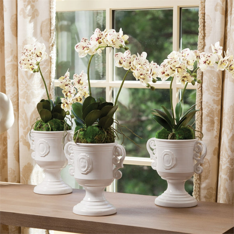 Napa Home Garden, CC 16'' PHALAENOPSIS TWO BRANCH DI,di1258