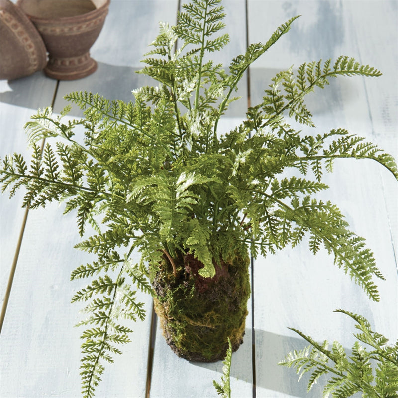 Napa Home Garden, SOFT FERN DROP-IN 13",di3004