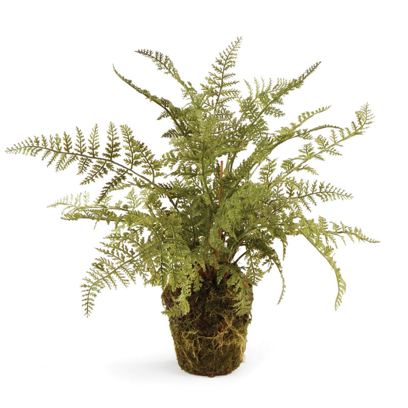 Napa Home Garden, SOFT FERN DROP-IN 13",di3004