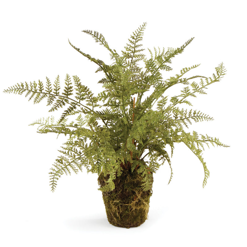 NAPA Home & Garden, SOFT FERN DROP-IN 13",DI3004