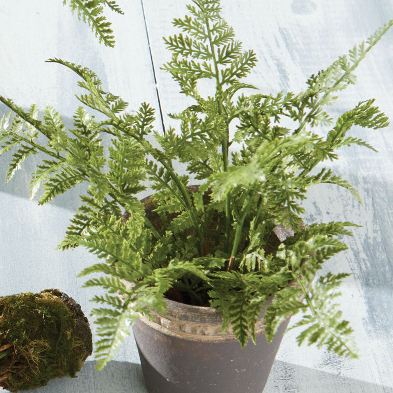 NAPA Home & Garden, SOFT FERN DROP-IN Collection