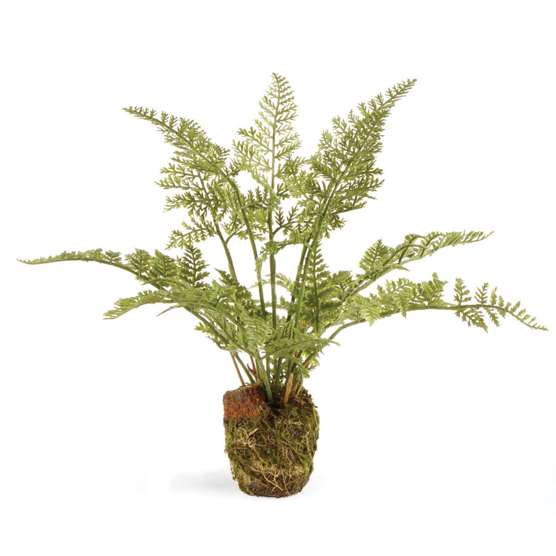 NAPA Home & Garden, SOFT FERN DROP-IN 8.5",DI3005