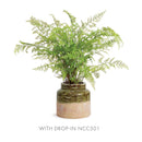 NAPA Home & Garden, FARO JAR Collection