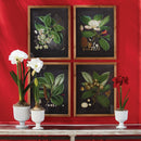 Sinclair Footed Urn by NAPA Home & Garden