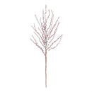 Napa Home Garden, FF BERRY-LICIOUS,ff0054