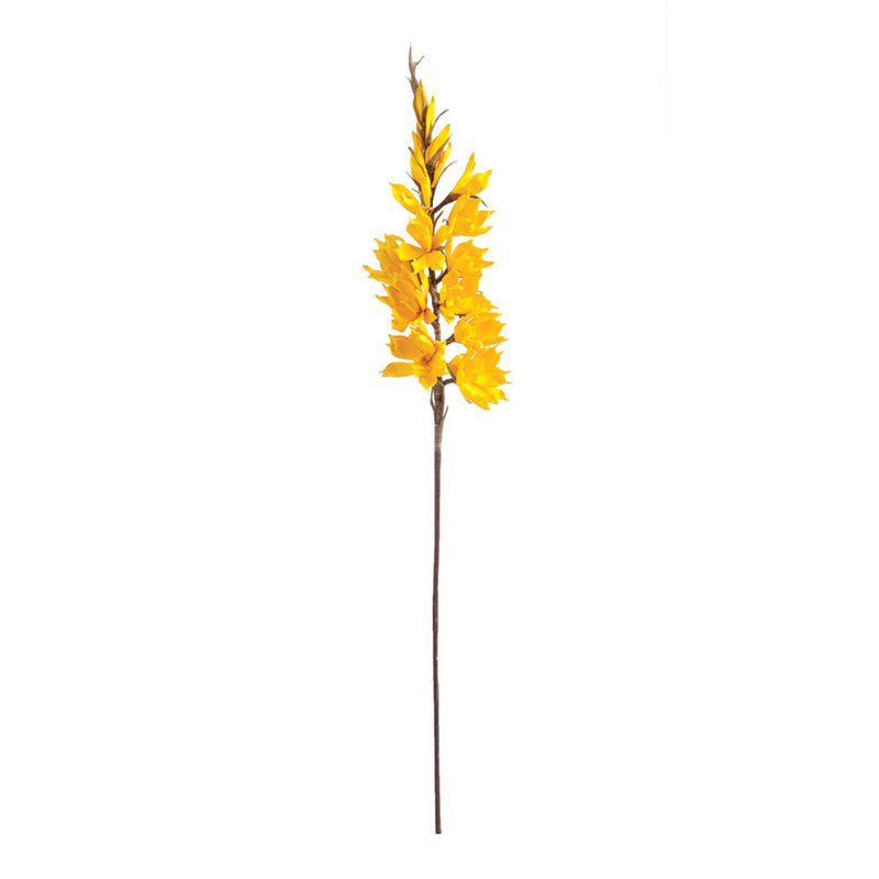 NAPA Home & Garden, SEUSS FLOWER YELLOW,FF0077