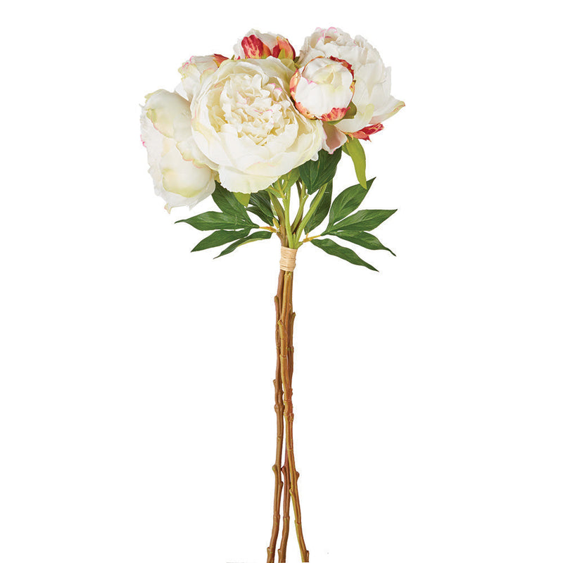 NAPA Home & Garden, Peonies Bundle
