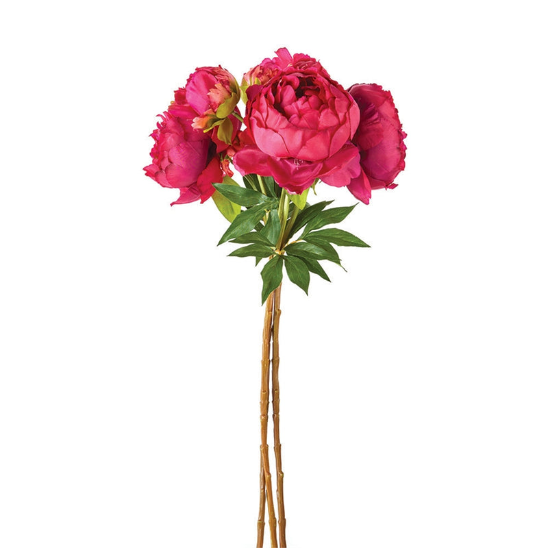 Napa Home Garden, PEONY BUNDLE/3 FUCHSIA,gp212pkd