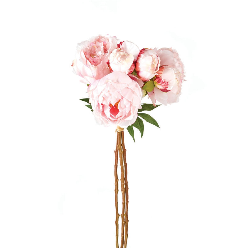 Napa Home Garden, PEONY BUNDLE/3 LIGHT PINK,gp212pkl