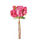 NAPA Home & Garden, Peonies Bundle