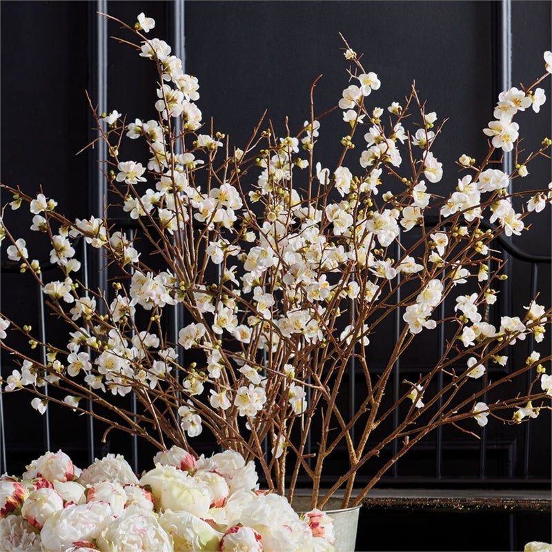 Napa Home Garden, QUINCE BLOSSOM 54" BRANCH,gp214