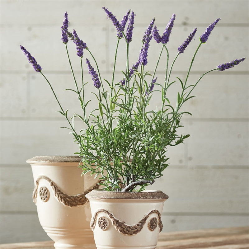 Napa Home Garden, FRENCH LAVENDER 18" DROP-IN,gp215