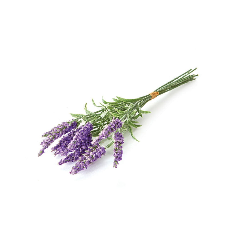 Napa Home Garden, FRENCH LAVENDER BUNDLE/12,gp216