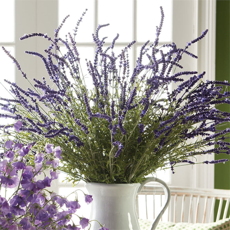 Napa Home Garden, FRENCH LAVENDER BUSH 34",gp225