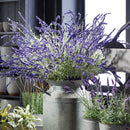 NAPA Home & Garden, FRENCH LAVENDER BUSH 34",GP225