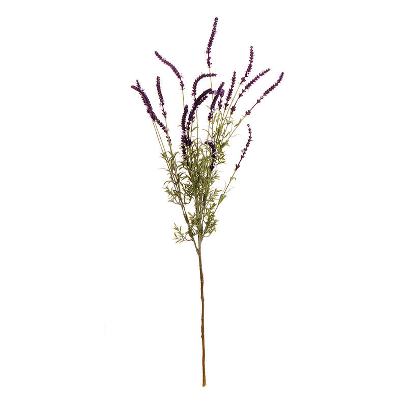 NAPA Home & Garden, FRENCH LAVENDER BUSH 34",GP225