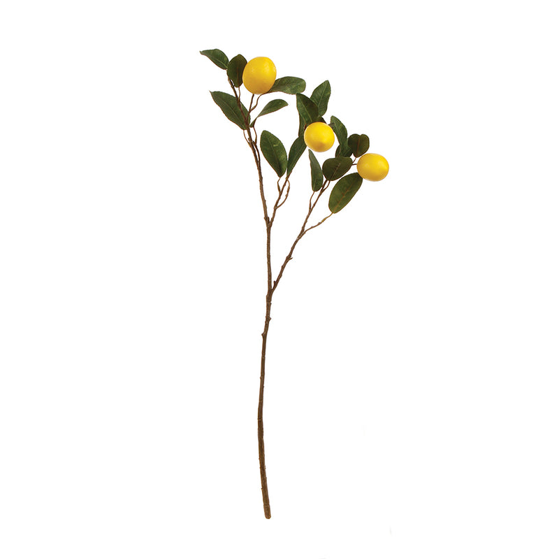 NAPA Home & Garden, LEMON BRANCH 29.5",GP237