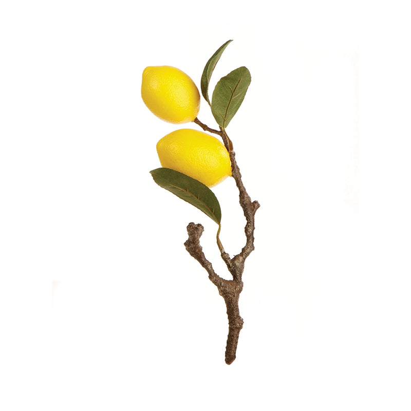 Napa Home Garden, LEMON CUTTING 11",gp240