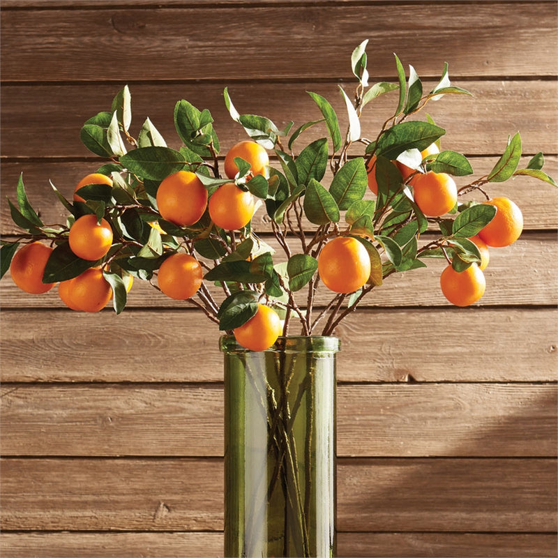 Napa Home Garden, ORANGE BRANCH 28.5",gp244