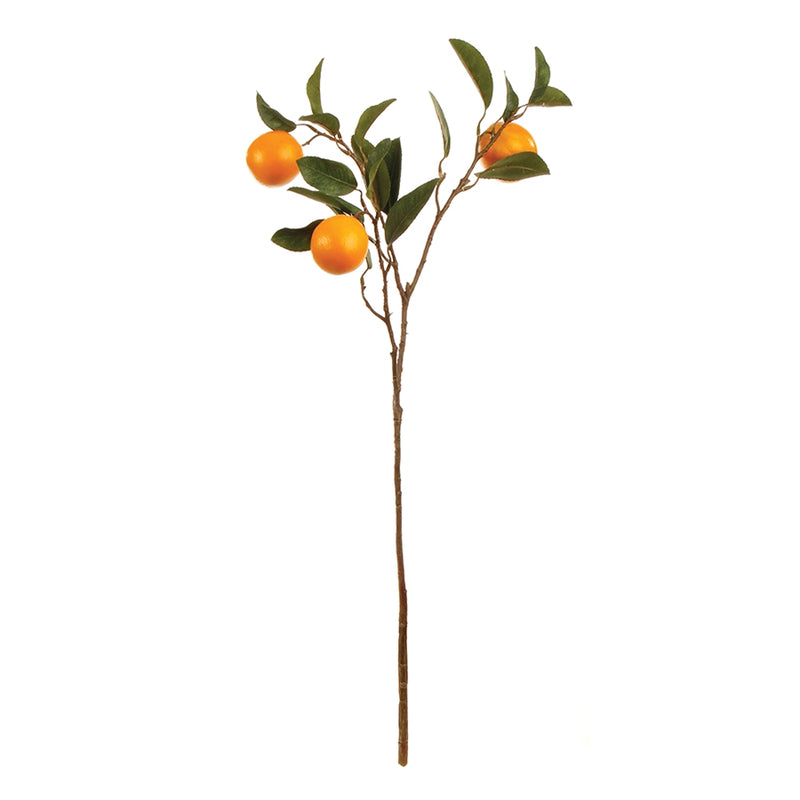 Napa Home Garden, ORANGE BRANCH 28.5",gp244