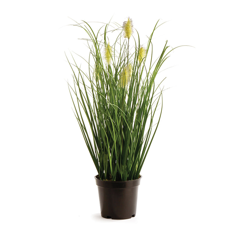 NAPA Home & Garden, WILD GRASS DROP-IN 16,GP246