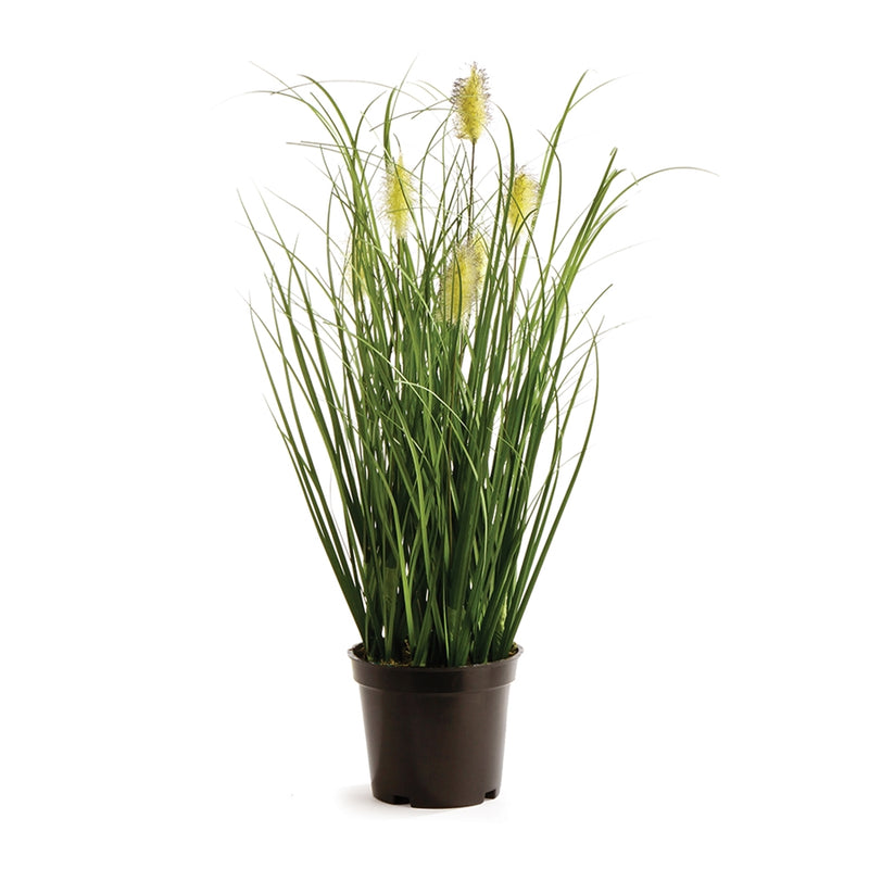 Napa Home Garden, WILD GRASS DROP-IN 16",gp246