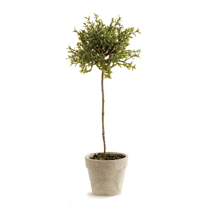 Napa Home Garden, THYME TOPIARY 13",gp251