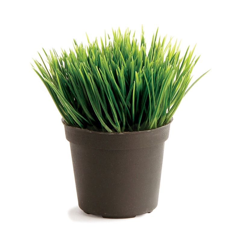 Napa Home Garden, MINI GRASS DROP-IN 3.5" GREEN,gp255gr