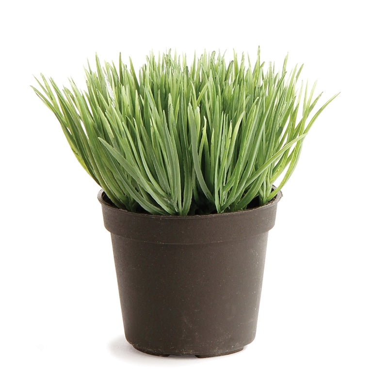 Napa Home Garden, MINI POTTED GRASS GRAY/GREEN,gp255gy