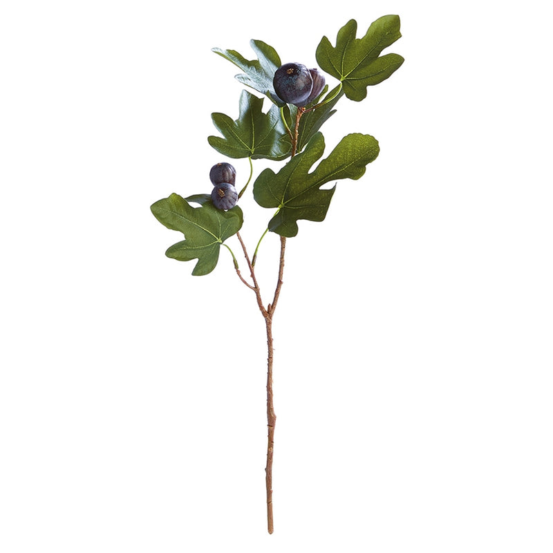 Napa Home Garden, FIG STEM WITH FIGS 21.5",gp263