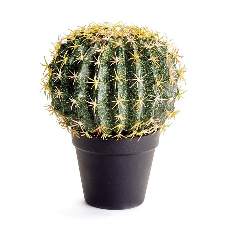 Napa Home Garden, CACTUS DROP-IN 9",gp277