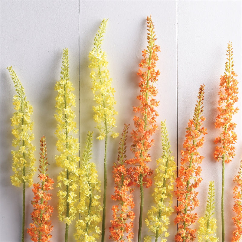 Napa Home Garden, EREMURUS STEM 46" ORANGE,gp279rg