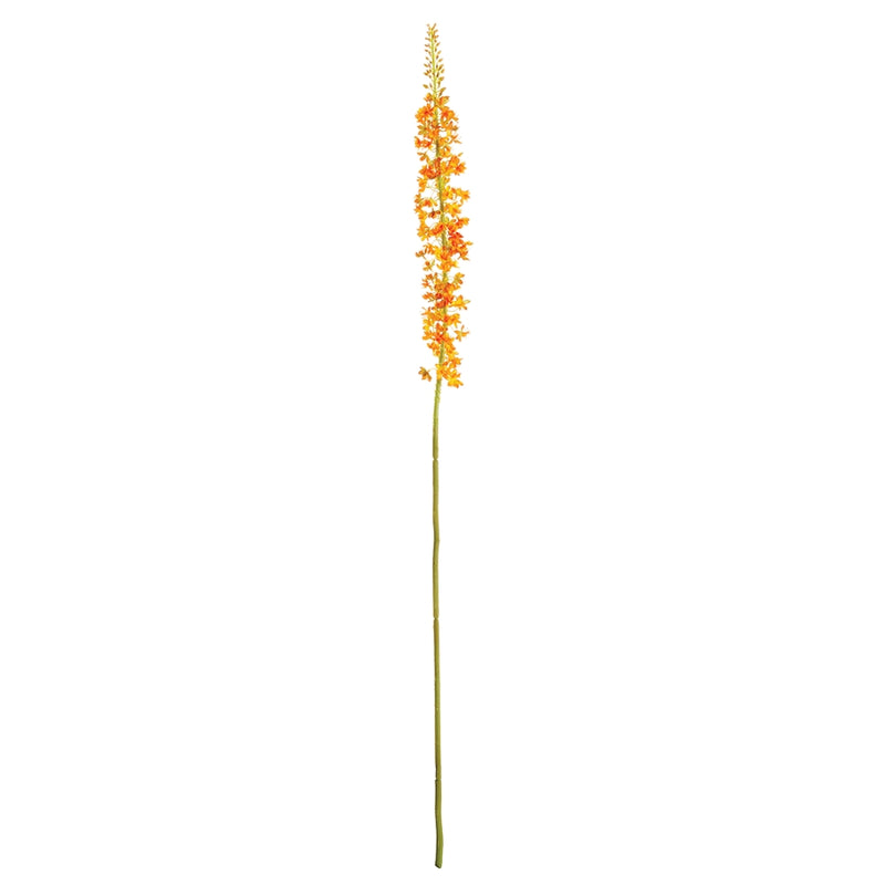 Napa Home Garden, EREMURUS STEM 46" ORANGE,gp279rg