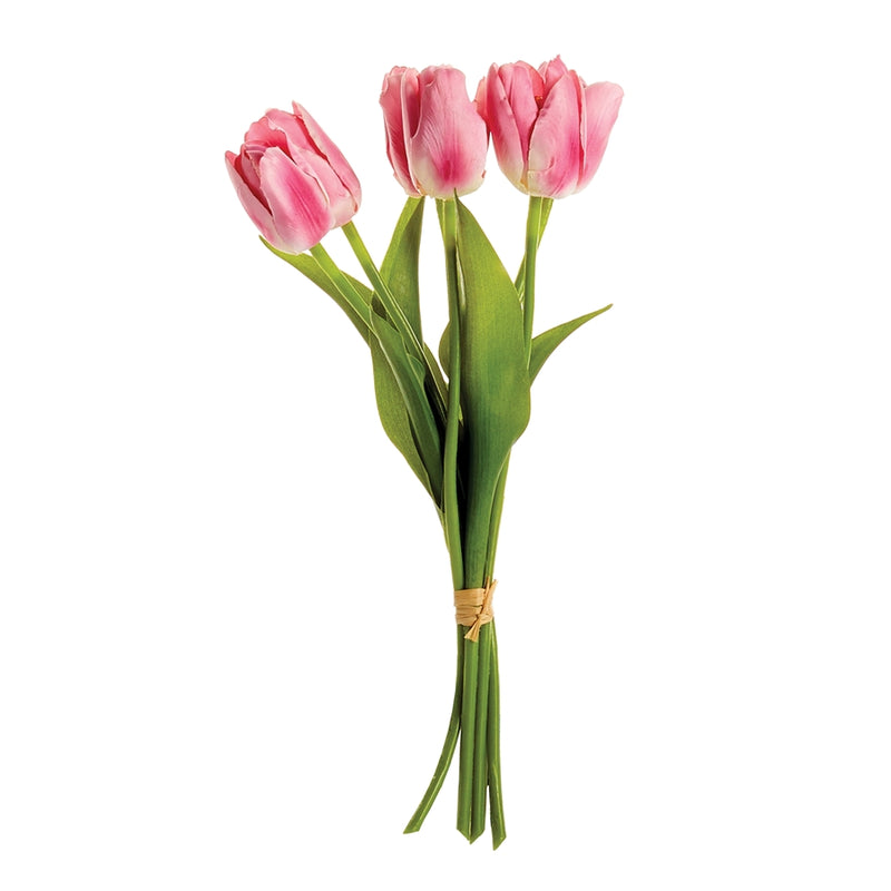 Napa Home Garden, DUTCH TULIPS 15" BUNDLE/6 PINK,gp281pk