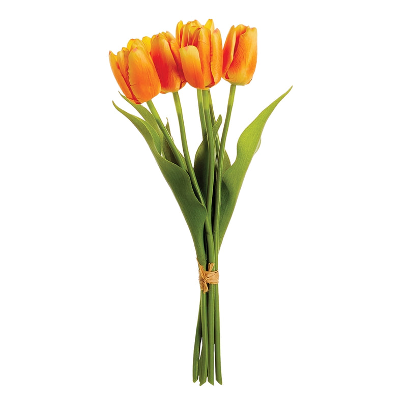 Napa Home Garden, DUTCH TULIPS 15" BUNDLE/6 ORANGE,gp281rg