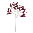 NAPA Home & Garden, EUCALYPTUS SEED BRANCH 36.5",GP289