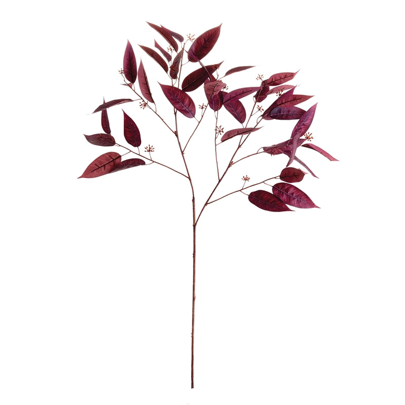 Napa Home Garden, EUCALYPTUS SEED BRANCH 36.5",gp289