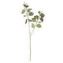 NAPA Home & Garden, Silver Dollar Eucalyptus Branch