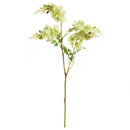 NAPA Home & Garden, WISTERIA STEM