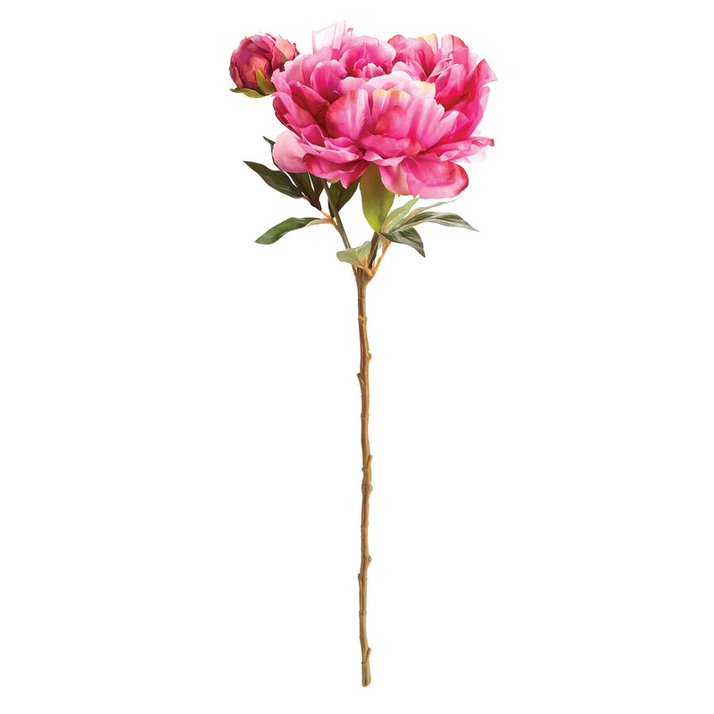 NAPA Home & Garden, PEONY STEM 21",GP413PKD